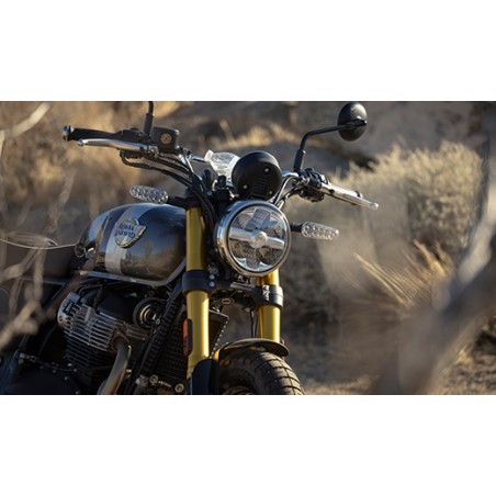 NOVA ROYAL ENFIELD BEAR 650