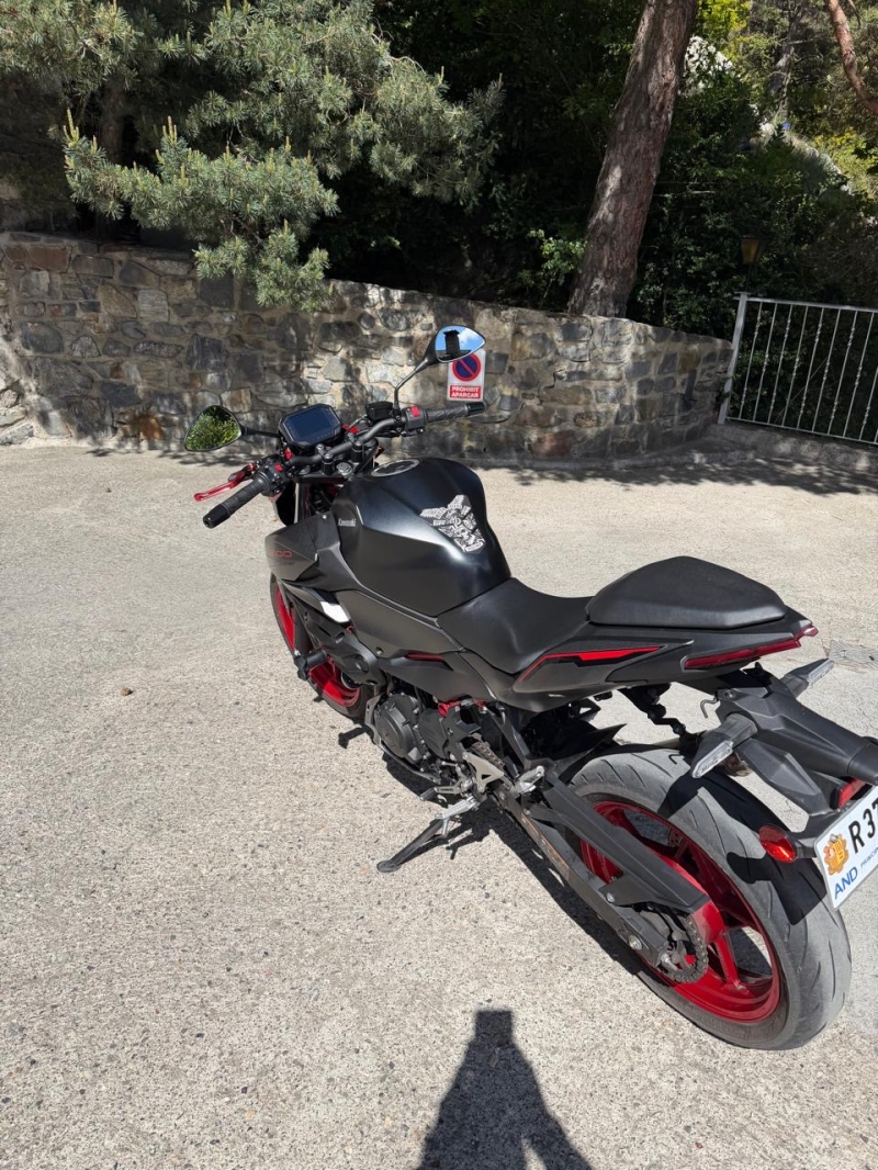 KAWASAKI Z500 2024 ARROW”