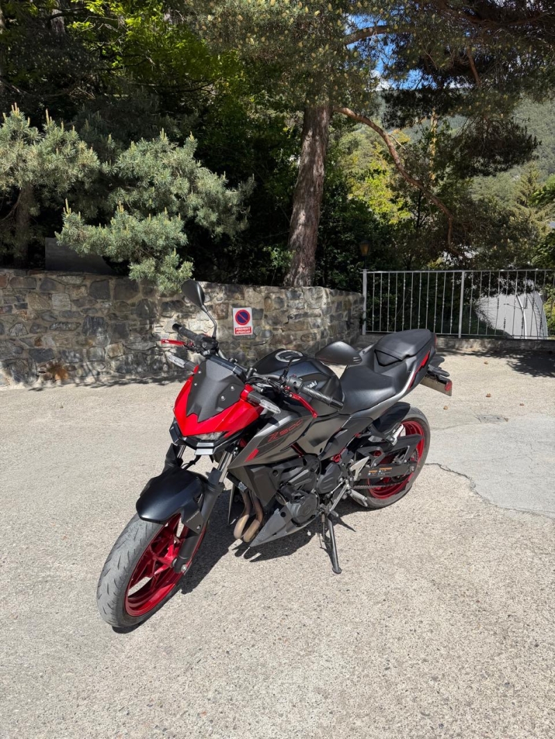 KAWASAKI Z500 2024 ARROW”