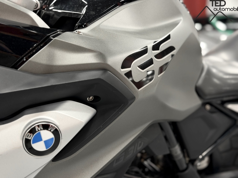 BMW GS310