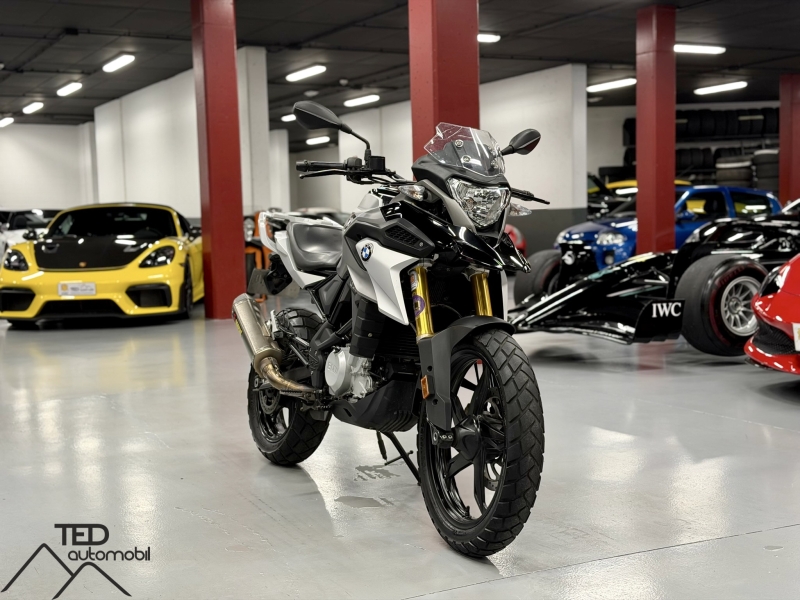 BMW GS310