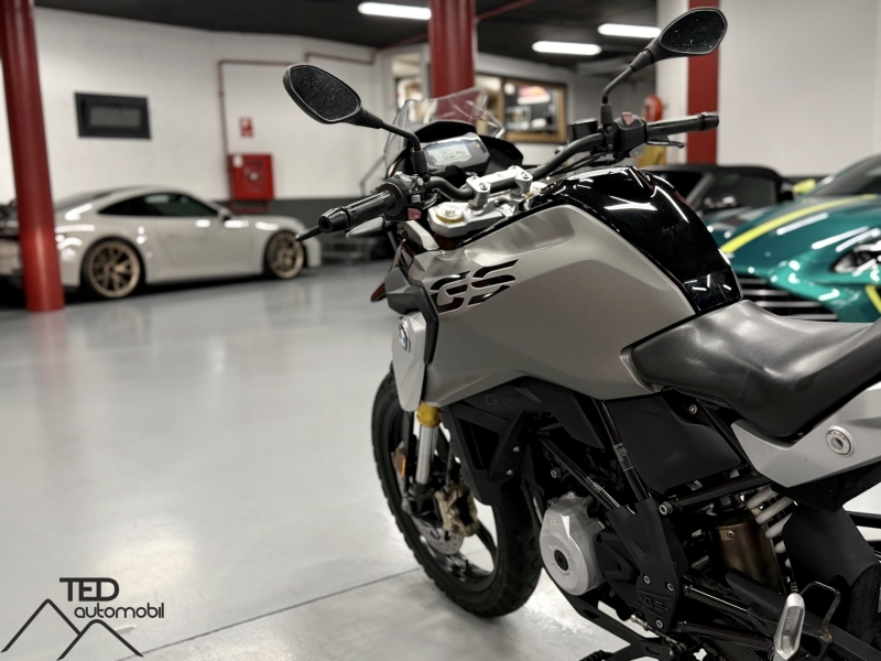 BMW GS310