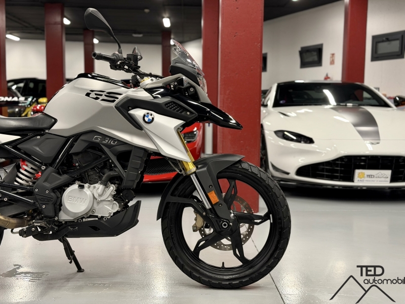 BMW GS310