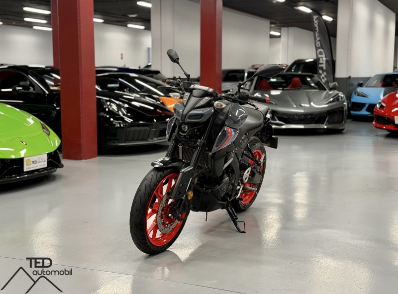 Yamaha MT 125 2025